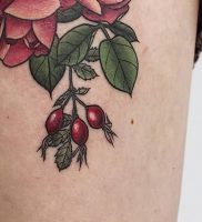 фото тату шиповник от 13.04.2018 №009 — Tattoo rosehip — tattoo-photo.ru