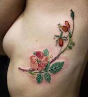фото тату шиповник от 13.04.2018 №010 — Tattoo rosehip — tattoo-photo.ru