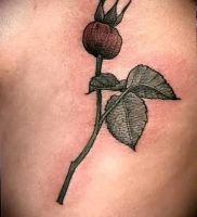 фото тату шиповник от 13.04.2018 №015 — Tattoo rosehip — tattoo-photo.ru