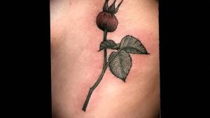 фото тату шиповник от 13.04.2018 №015 - Tattoo rosehip - tattoo-photo.ru