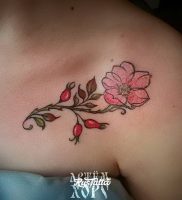 фото тату шиповник от 13.04.2018 №016 — Tattoo rosehip — tattoo-photo.ru