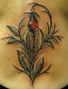 фото тату шиповник от 13.04.2018 №016 - Tattoo rosehip - tattoo-photo.ru 37345734537