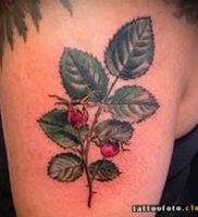 фото тату шиповник от 13.04.2018 №019 — Tattoo rosehip — tattoo-photo.ru