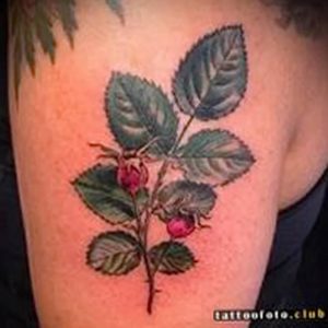 фото тату шиповник от 13.04.2018 №019 - Tattoo rosehip - tattoo-photo.ru