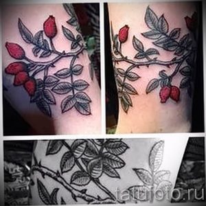 фото тату шиповник от 13.04.2018 №025 - Tattoo rosehip - tattoo-photo.ru