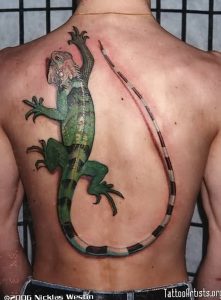 фото тату ящерица от 11.04.2018 №051 - tattoo lizard - tattoo-photo.ru