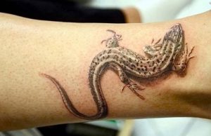 фото тату ящерица от 11.04.2018 №117 - tattoo lizard - tattoo-photo.ru