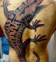 фото тату ящерица от 11.04.2018 №128 — tattoo lizard — tattoo-photo.ru