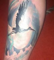 фото тату аист от 18.04.2018 №002 — tattoo stork — tatufoto.com