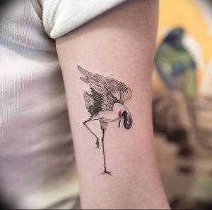 фото тату аист от 18.04.2018 №011 - tattoo stork - tatufoto.com