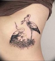 фото тату аист от 18.04.2018 №110 — tattoo stork — tatufoto.com