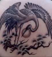 фото тату аист от 18.04.2018 №112 — tattoo stork — tatufoto.com