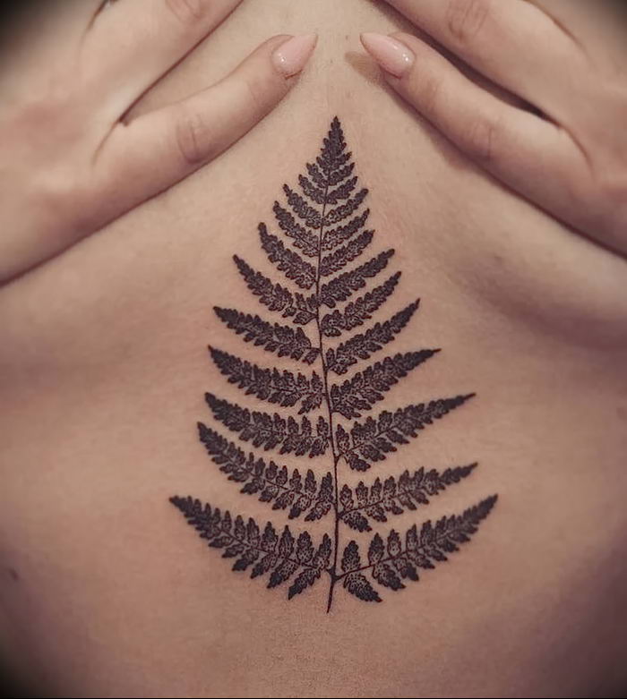 фото тату папоротник от 27.04.2018 №029 - tattoo fern - tattoo-photo.ru