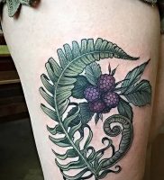 фото тату папоротник от 27.04.2018 №090 — tattoo fern — tattoo-photo.ru
