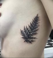 фото тату папоротник от 27.04.2018 №091 — tattoo fern — tattoo-photo.ru