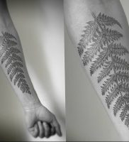 фото тату папоротник от 27.04.2018 №094 — tattoo fern — tattoo-photo.ru