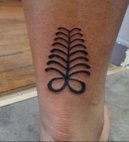 фото тату папоротник от 27.04.2018 №103 — tattoo fern — tattoo-photo.ru