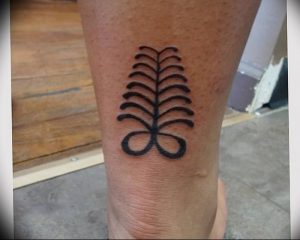 фото тату папоротник от 27.04.2018 №103 - tattoo fern - tattoo-photo.ru