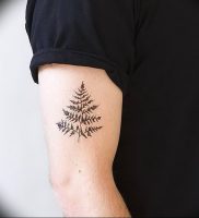 фото тату папоротник от 27.04.2018 №104 — tattoo fern — tattoo-photo.ru