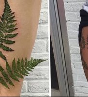 фото тату папоротник от 27.04.2018 №107 — tattoo fern — tattoo-photo.ru