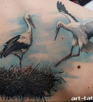 фото тату аист от 18.04.2018 №008 — tattoo stork — tatufoto.com