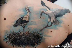 фото тату аист от 18.04.2018 №008 - tattoo stork - tatufoto.com