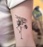 фото тату аист от 18.04.2018 №011 — tattoo stork — tatufoto.com