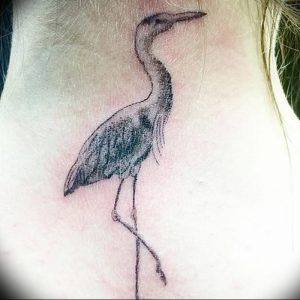 фото тату аист от 18.04.2018 №028 - tattoo stork - tatufoto.com