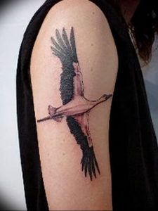 фото тату аист от 18.04.2018 №047 - tattoo stork - tatufoto.com