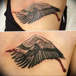 фото тату аист от 18.04.2018 №049 - tattoo stork - tatufoto.com