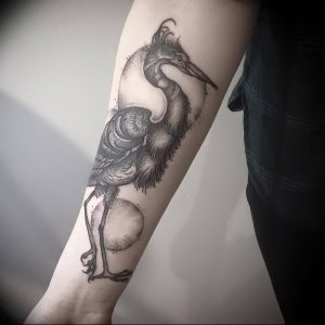 фото тату аист от 18.04.2018 №071 - tattoo stork - tatufoto.com