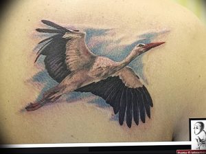 фото тату аист от 18.04.2018 №075 - tattoo stork - tatufoto.com