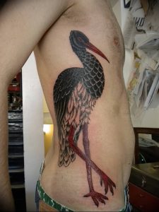 фото тату аист от 18.04.2018 №076 - tattoo stork - tatufoto.com