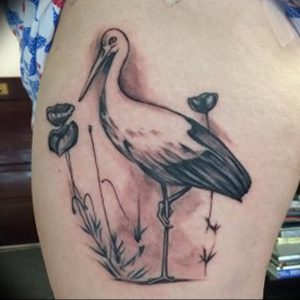 фото тату аист от 18.04.2018 №077 - tattoo stork - tatufoto.com