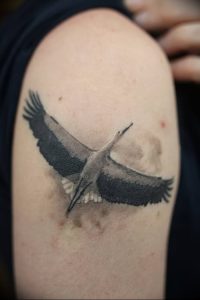 фото тату аист от 18.04.2018 №083 - tattoo stork - tatufoto.com