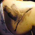 фото тату аист от 18.04.2018 №087 - tattoo stork - tatufoto.com