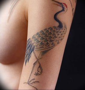 фото тату аист от 18.04.2018 №090 - tattoo stork - tatufoto.com