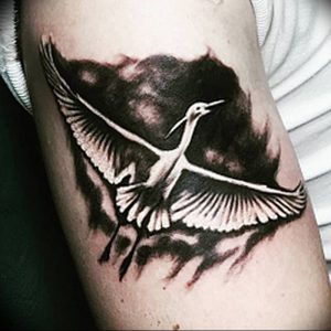 фото тату аист от 18.04.2018 №102 - tattoo stork - tatufoto.com