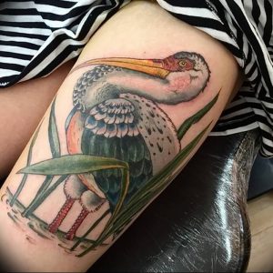 фото тату аист от 18.04.2018 №104 - tattoo stork - tatufoto.com