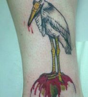 фото тату аист от 18.04.2018 №113 — tattoo stork — tatufoto.com