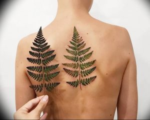 фото тату папоротник от 27.04.2018 №001 - tattoo fern - tattoo-photo.ru