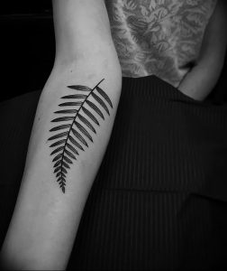 фото тату папоротник от 27.04.2018 №005 - tattoo fern - tattoo-photo.ru