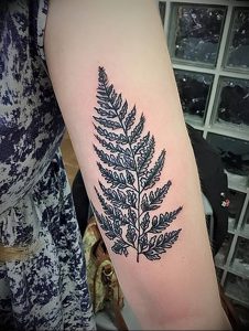 фото тату папоротник от 27.04.2018 №007 - tattoo fern - tattoo-photo.ru