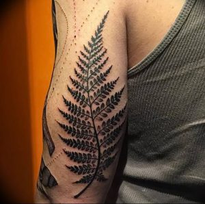 фото тату папоротник от 27.04.2018 №009 - tattoo fern - tattoo-photo.ru