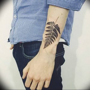 фото тату папоротник от 27.04.2018 №011 - tattoo fern - tattoo-photo.ru