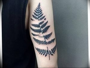 фото тату папоротник от 27.04.2018 №012 - tattoo fern - tattoo-photo.ru