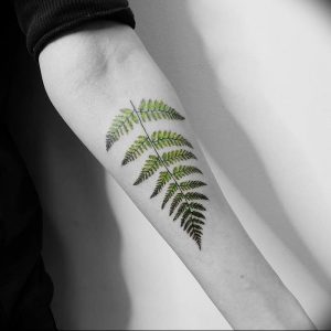 фото тату папоротник от 27.04.2018 №016 - tattoo fern - tattoo-photo.ru