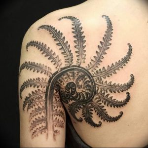 фото тату папоротник от 27.04.2018 №018 - tattoo fern - tattoo-photo.ru