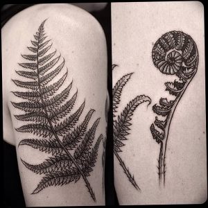 фото тату папоротник от 27.04.2018 №021 - tattoo fern - tattoo-photo.ru