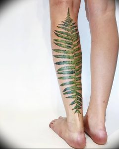 фото тату папоротник от 27.04.2018 №023 - tattoo fern - tattoo-photo.ru